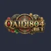 Qaidi804 game